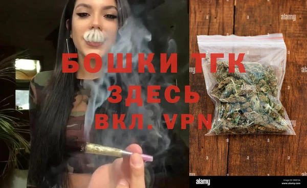 твердый Алексеевка