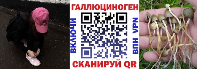 Купить закладки Гудермес Галлюциногенные грибы ЛСД